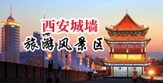 欧美操逼快乐视频中国陕西-西安城墙旅游风景区